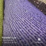 Pailette - Imagen 5